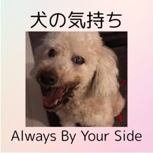 犬の気持ちのジャケット。天国へ旅立った愛犬からの最後のメッセージ。